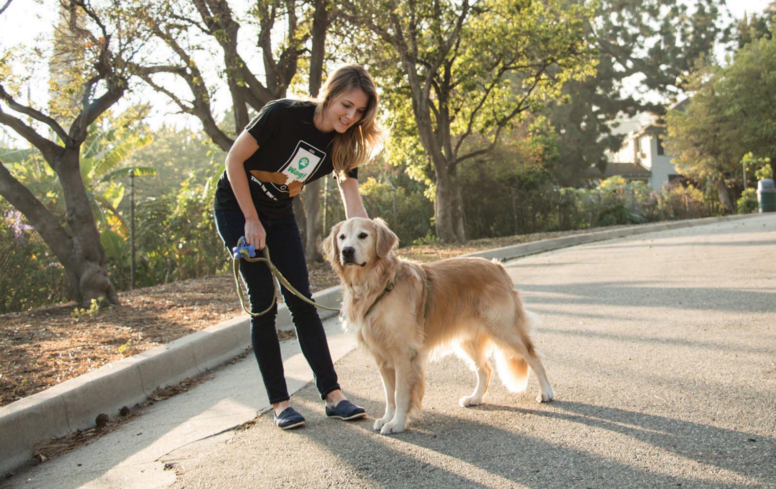 Things we love: Wag! dog-walking app - SPLASH